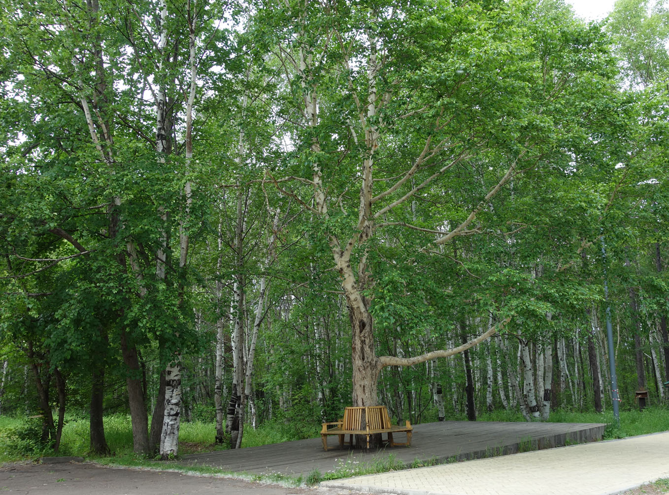 Советская Гавань, image of landscape/habitat.