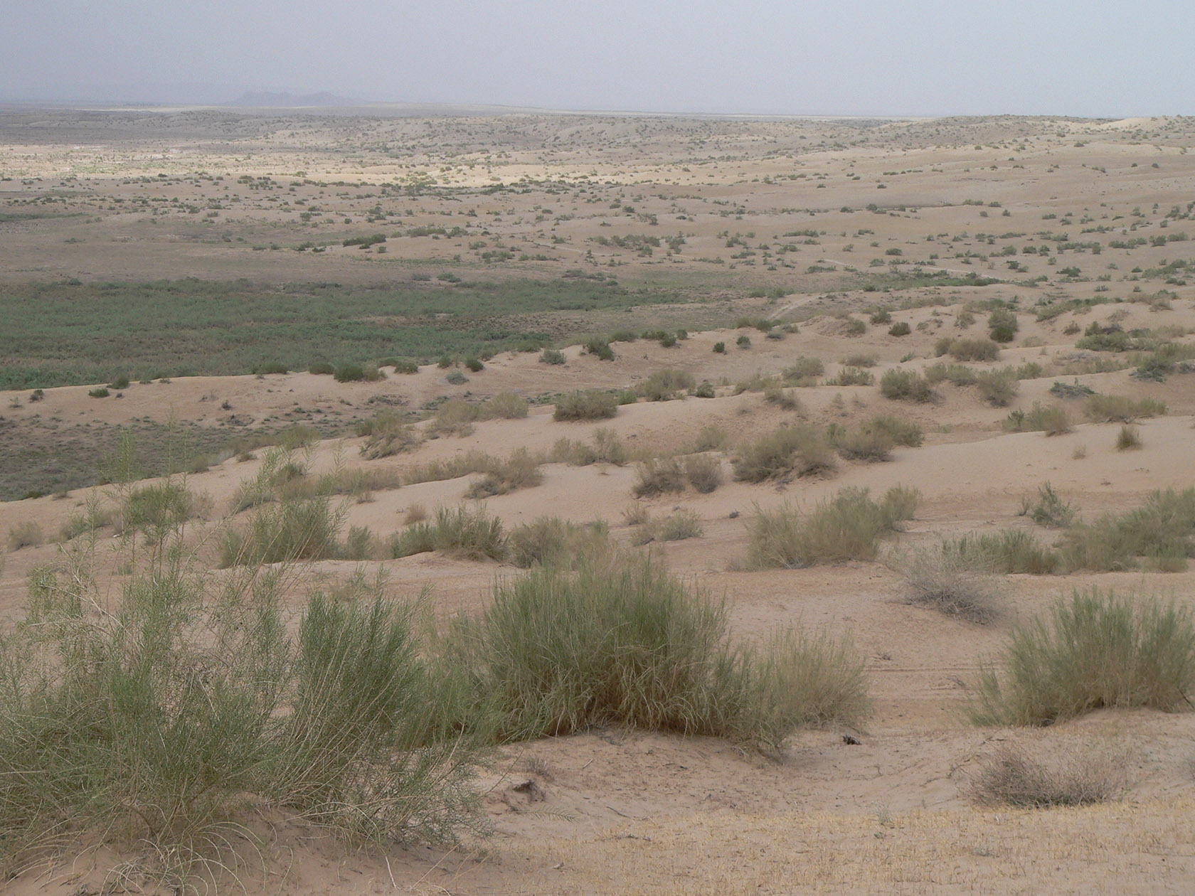 Курджалакум, image of landscape/habitat.