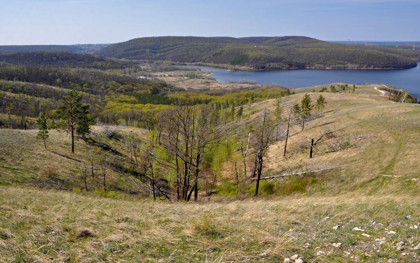 Молодецкий курган, изображение ландшафта.