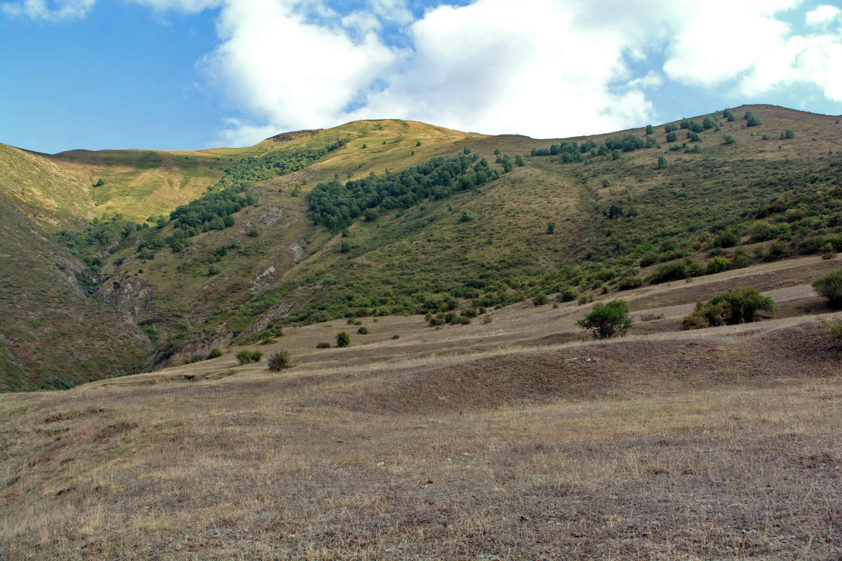 Окрестности села Курукал, image of landscape/habitat.