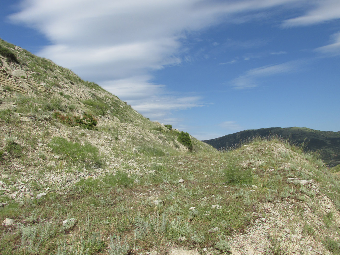 Талги, image of landscape/habitat.