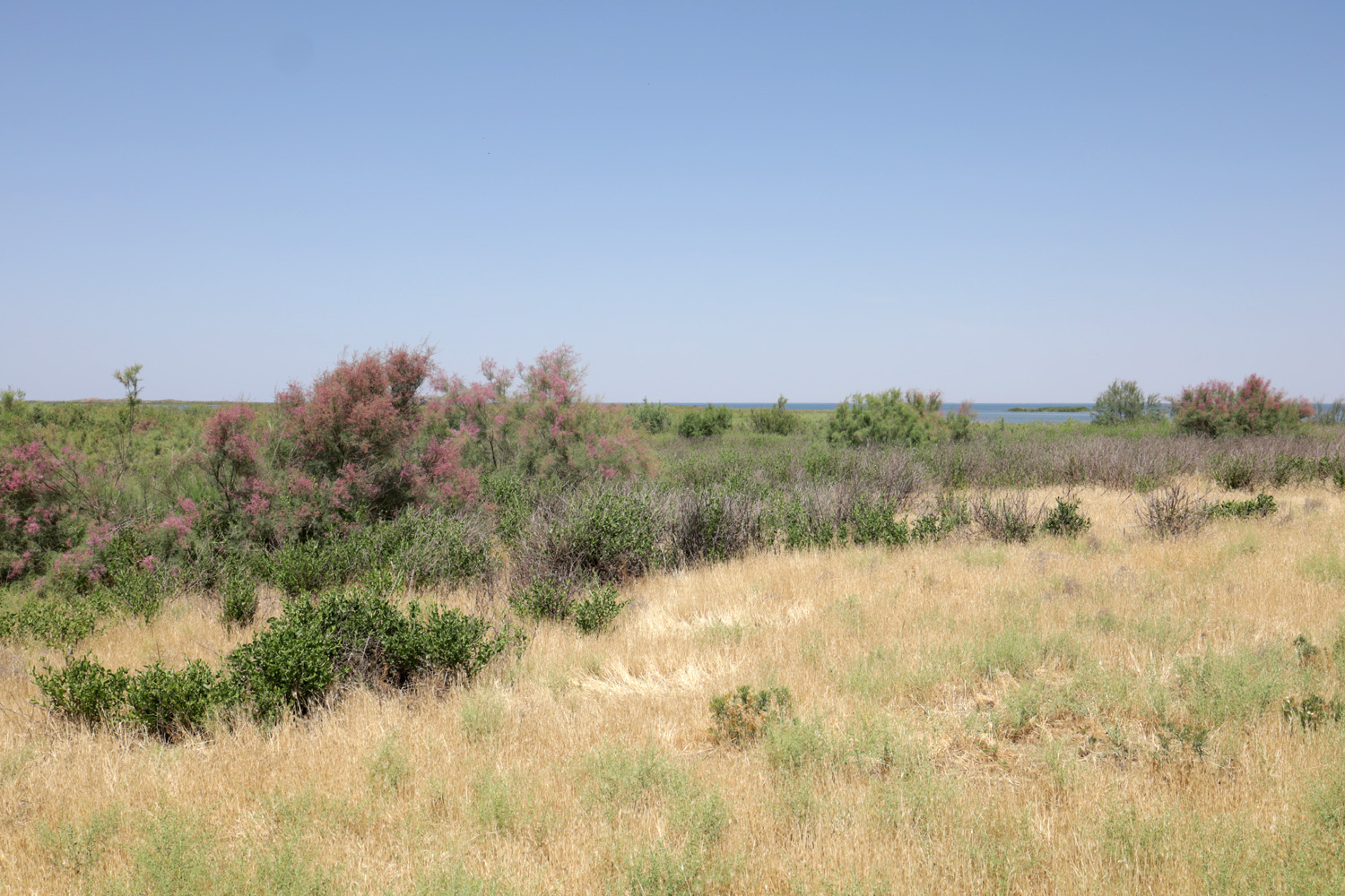 Озеро Айдаркуль, image of landscape/habitat.