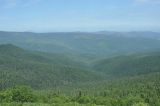 Image of landscape