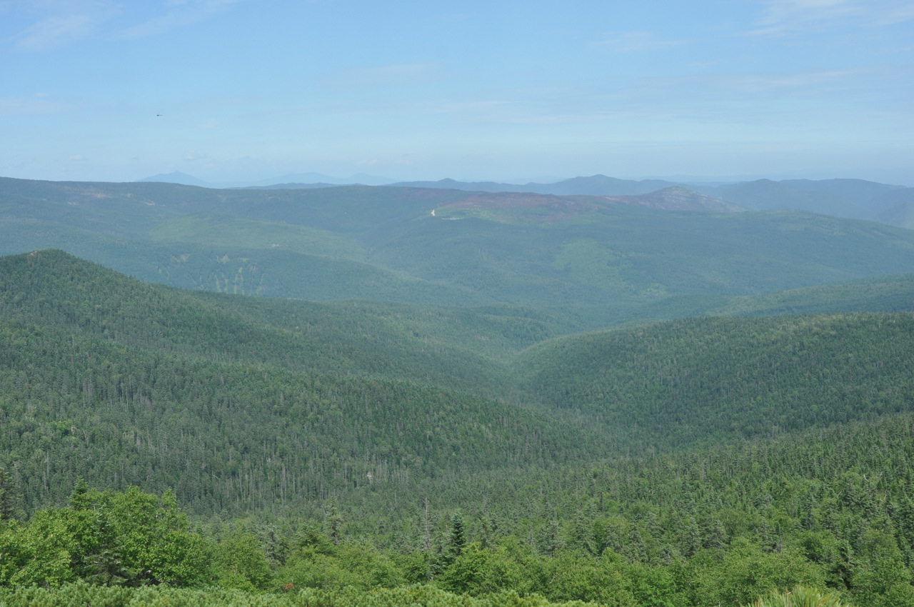 Амурские столбы, image of landscape/habitat.