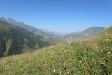 Гора Хиах, image of landscape/habitat.