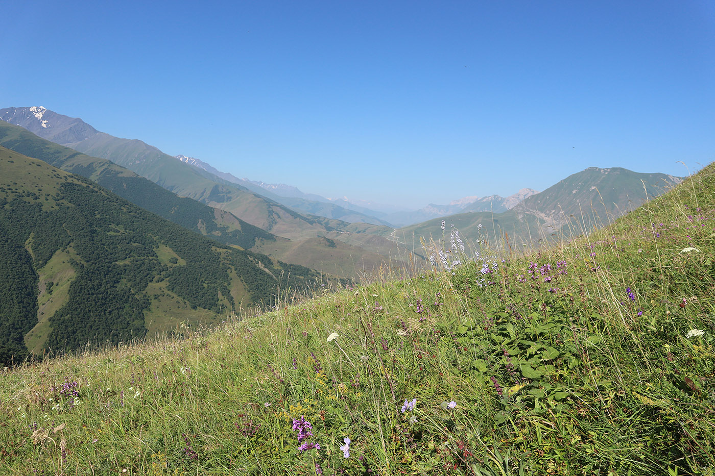 Гора Хиах, image of landscape/habitat.