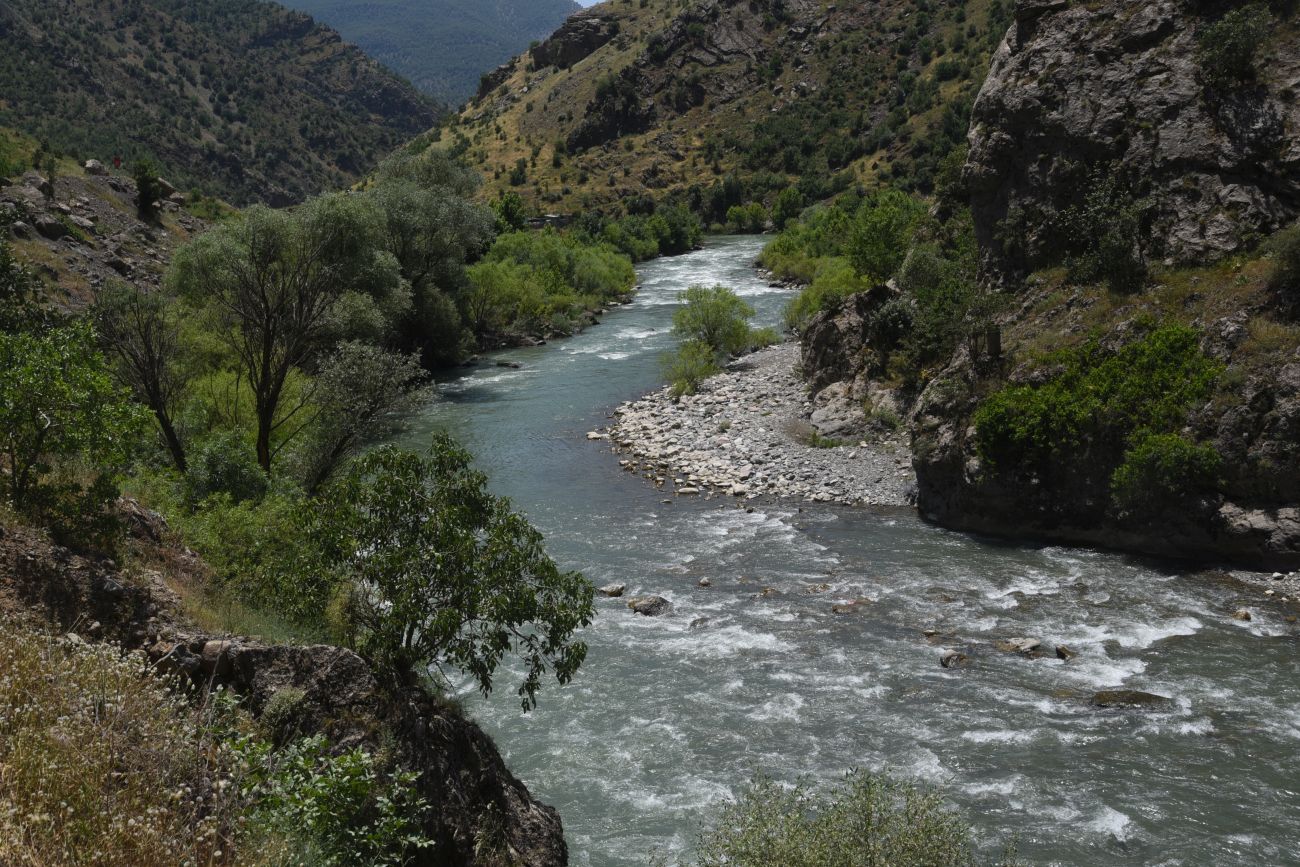 Устье Гали-Гарах-Мюса, image of landscape/habitat.