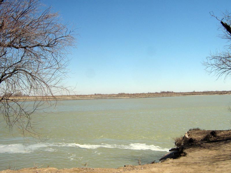 Пески Таукум, image of landscape/habitat.