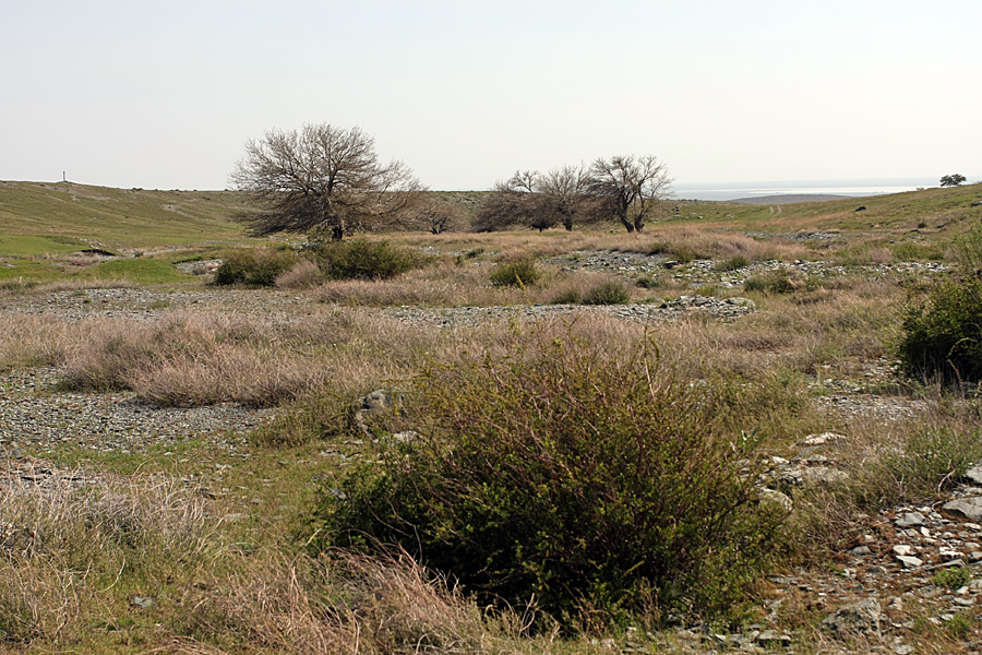 Ущелье Еликсай, image of landscape/habitat.