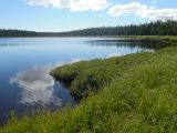 Озеро Таёжное, image of landscape/habitat.