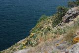 Image of landscape