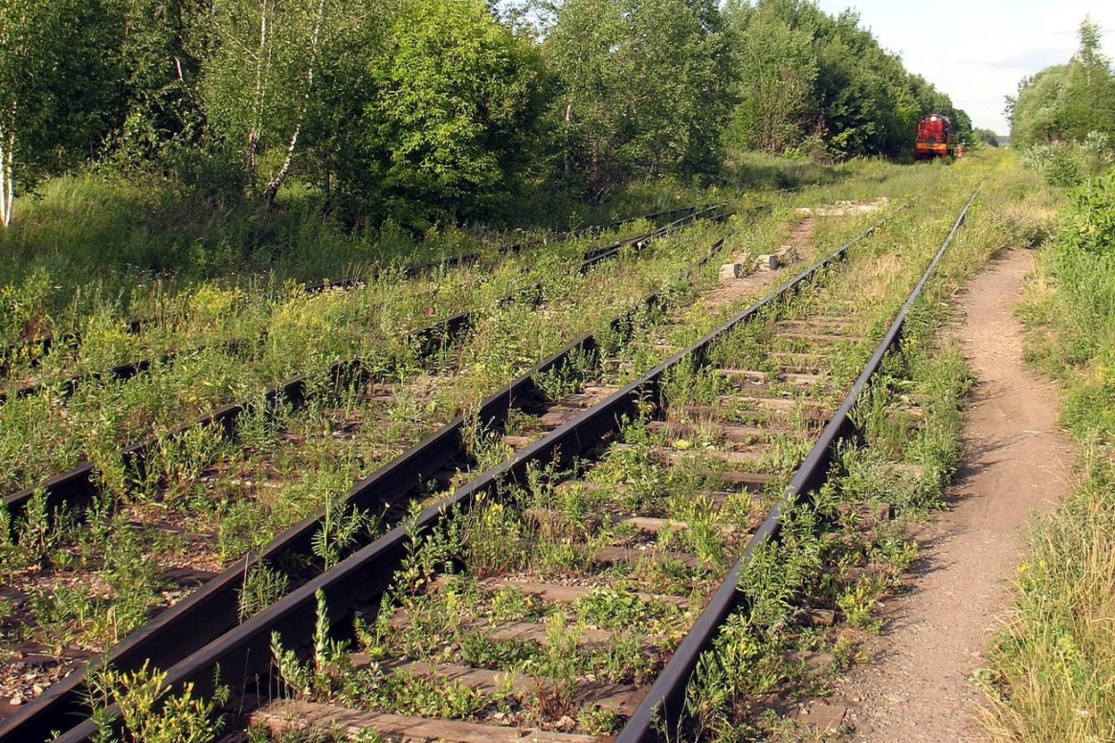 Серпухов-Ветка, image of landscape/habitat.