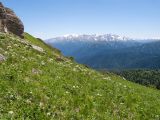 Каменное Море, image of landscape/habitat.