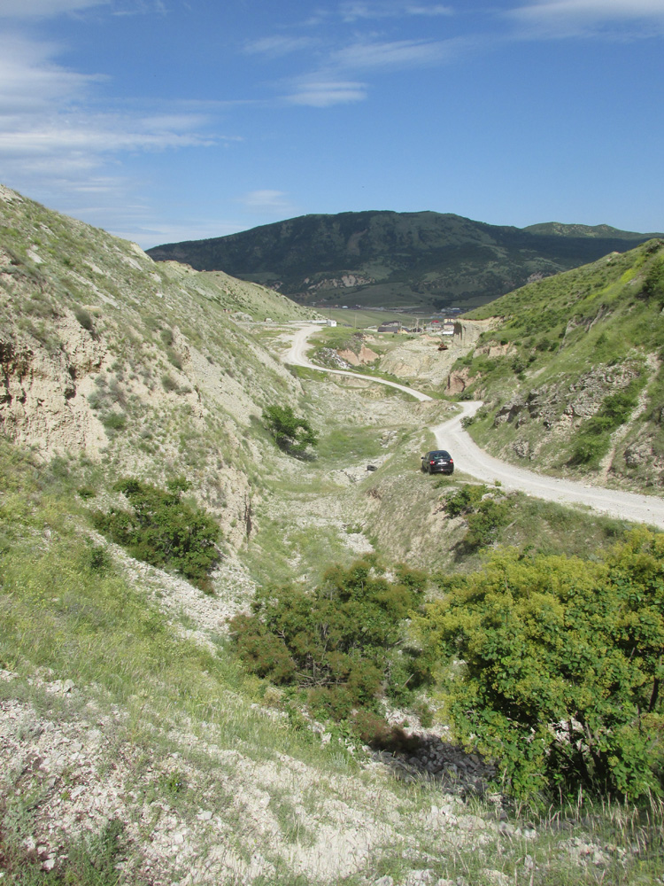 Талги, image of landscape/habitat.