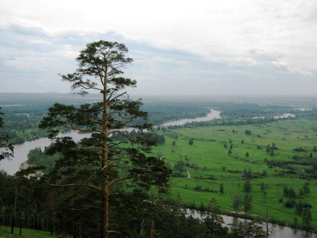 Нижнеудинск, image of landscape/habitat.