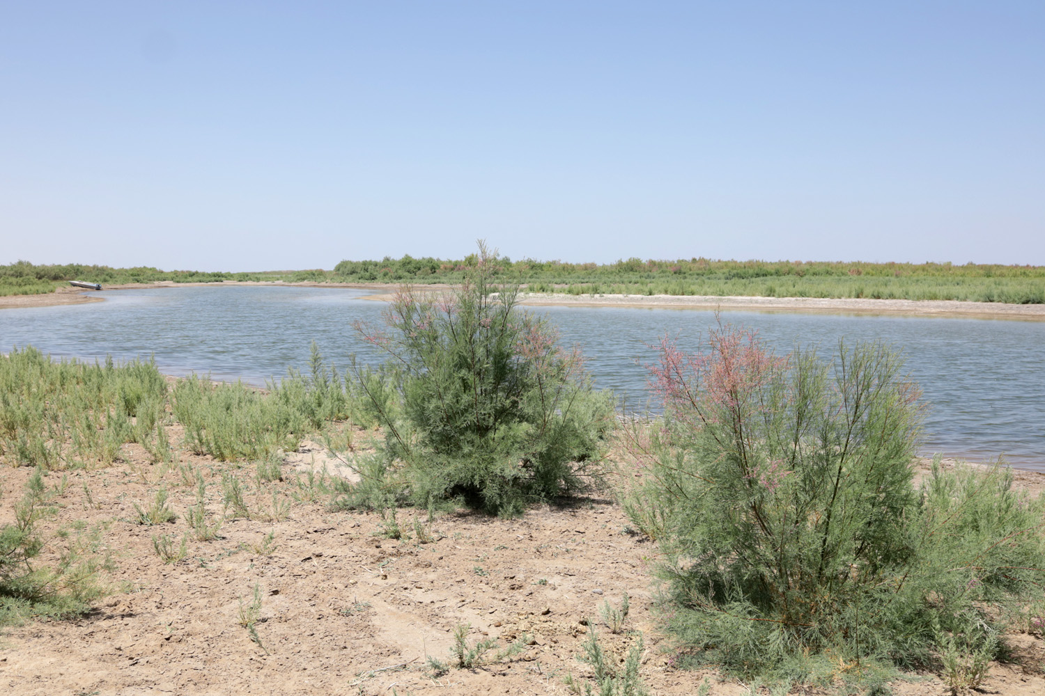 Озеро Айдаркуль, image of landscape/habitat.