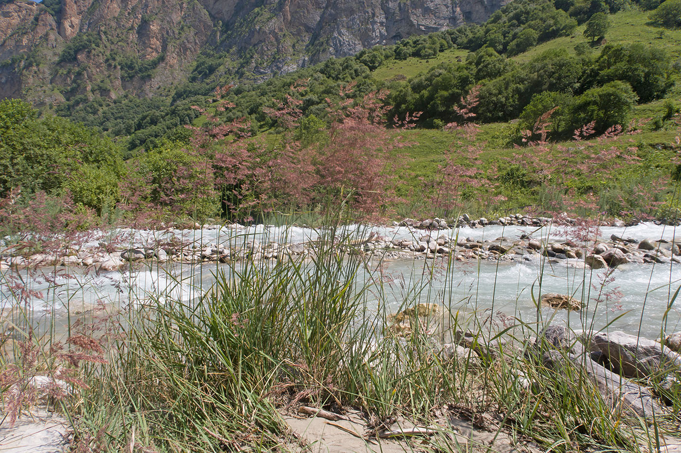 Хазнидон, image of landscape/habitat.
