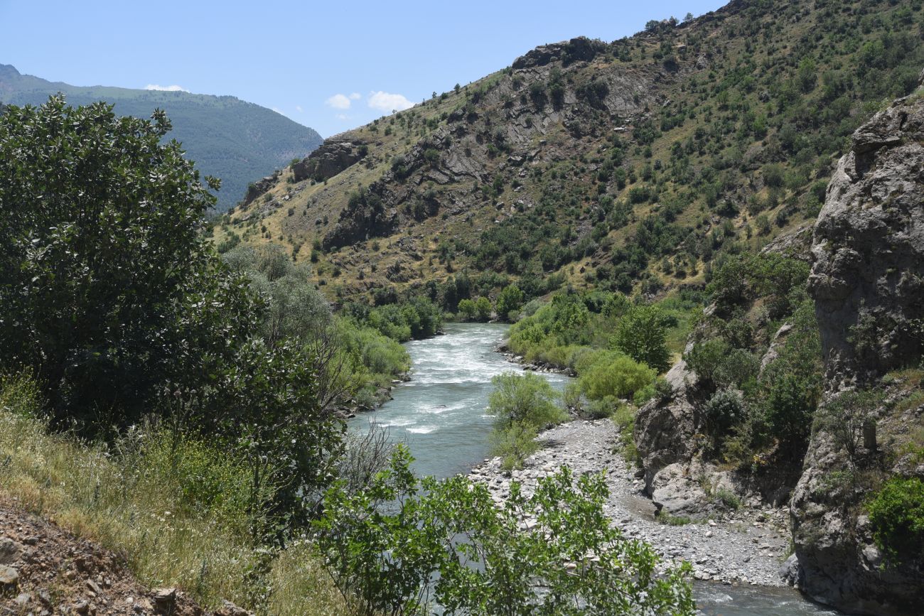 Устье Гали-Гарах-Мюса, image of landscape/habitat.