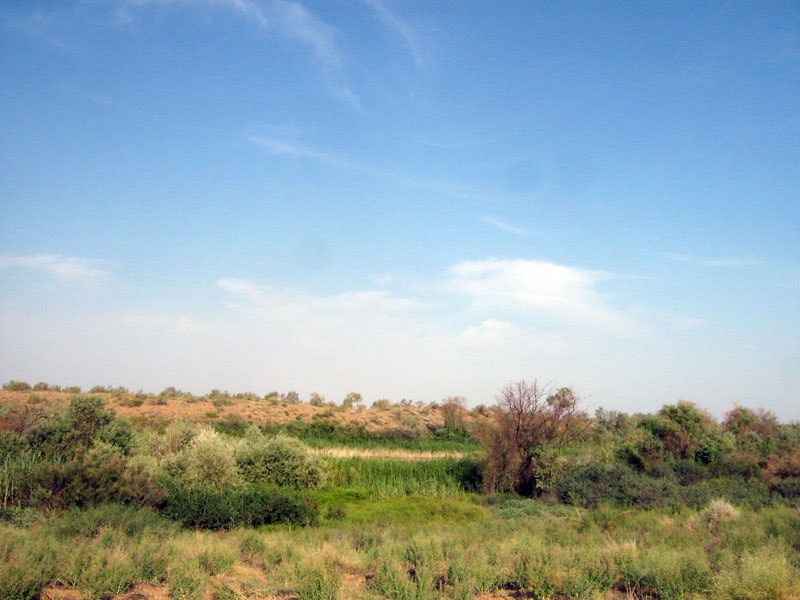 Пески Таукум, image of landscape/habitat.