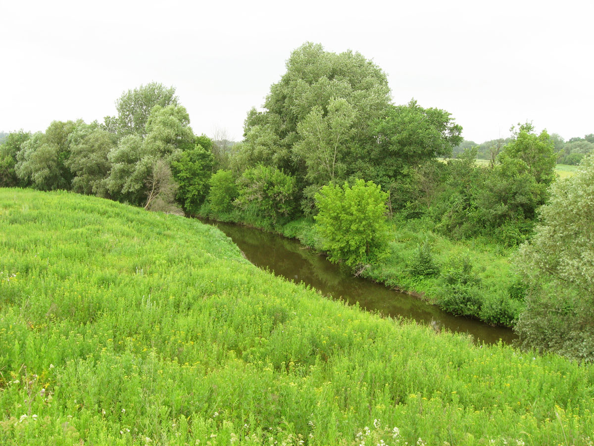 Дроновка, image of landscape/habitat.