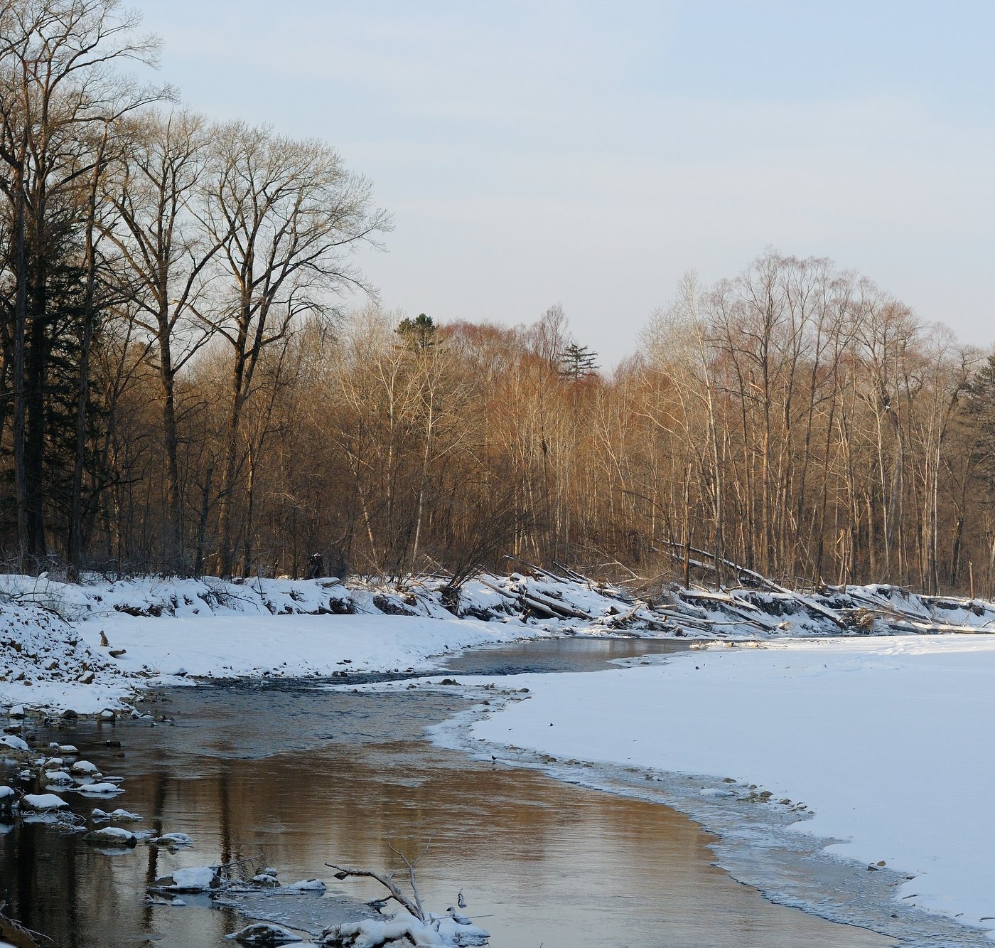 Долина р. Высокогорская, image of landscape/habitat.