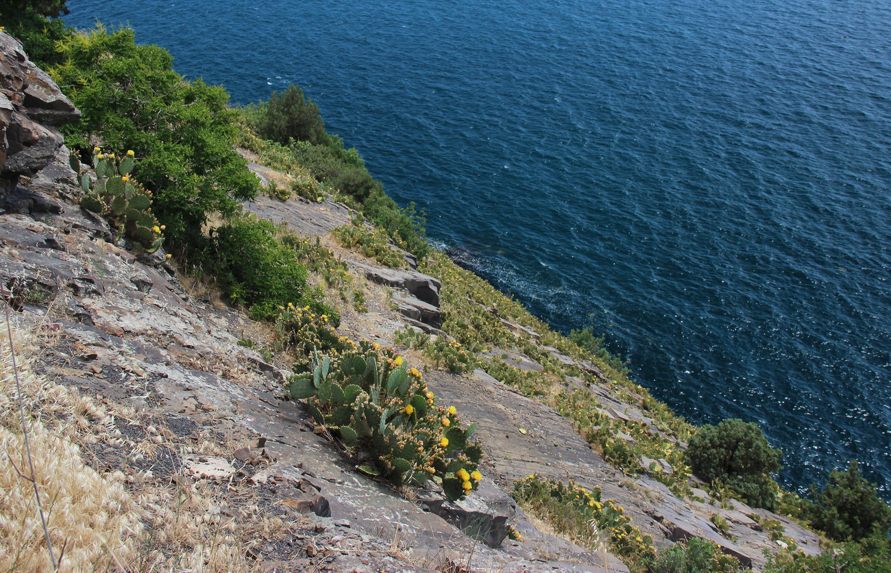 Ламбата, image of landscape/habitat.