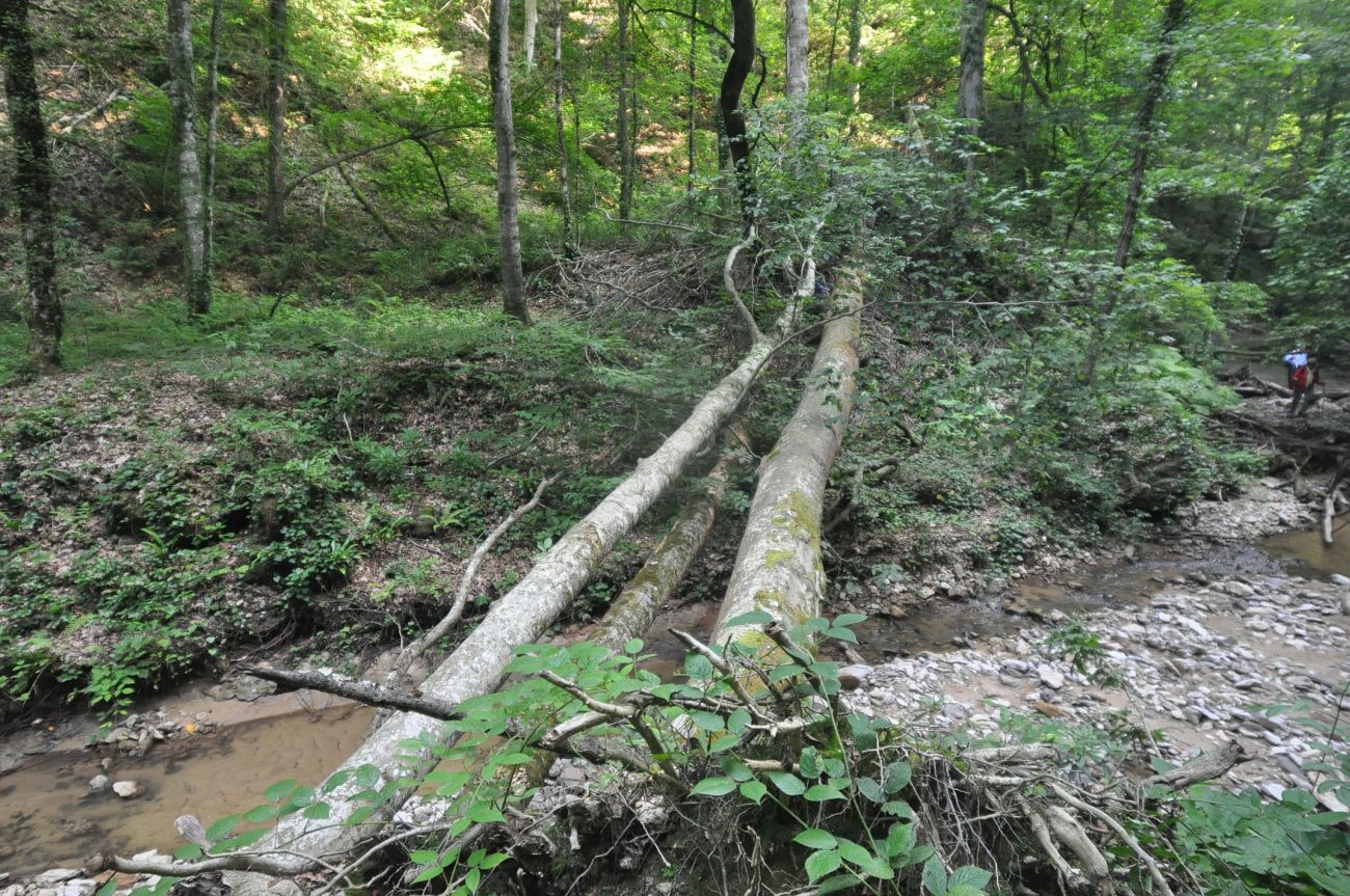 Долина реки Аминовка, image of landscape/habitat.