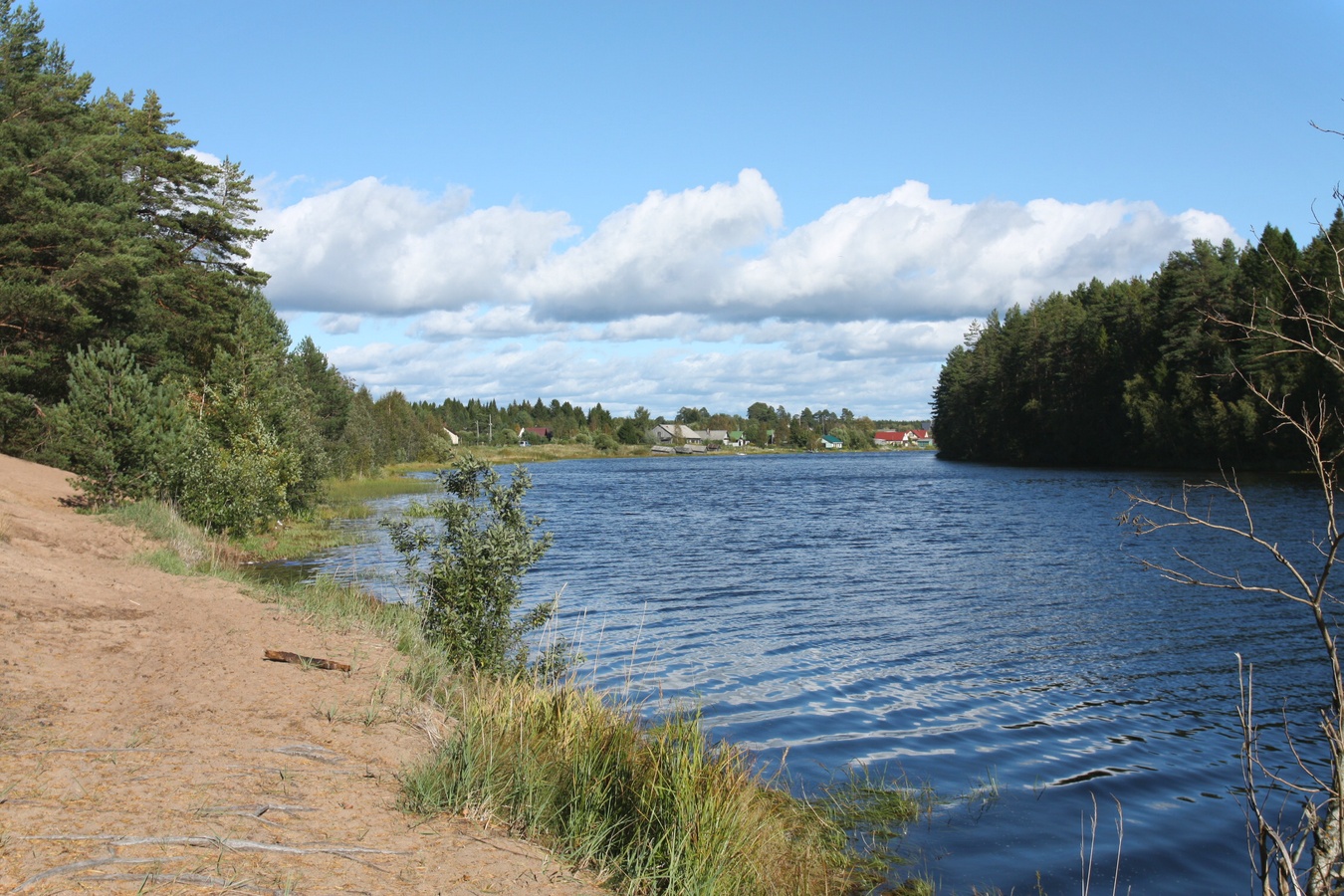 Устье Тулоксы, image of landscape/habitat.