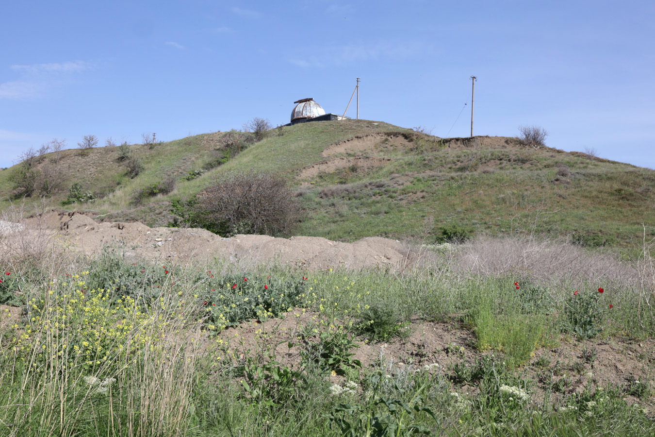 Курортное, image of landscape/habitat.