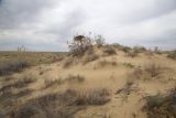 Image of landscape
