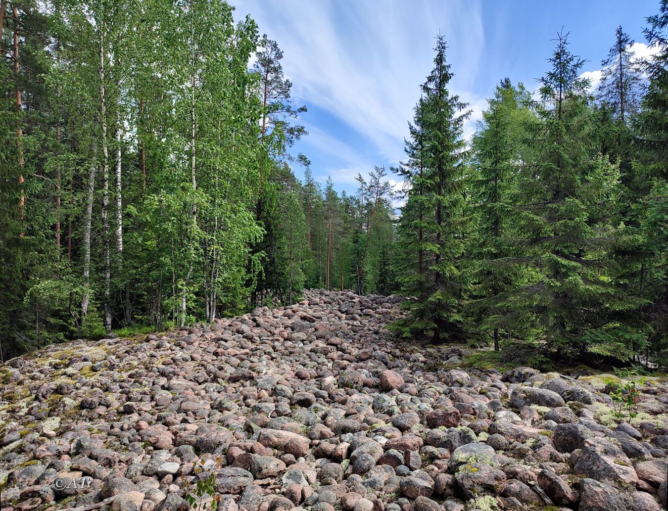 Озера Лоухенпяянламмет, image of landscape/habitat.