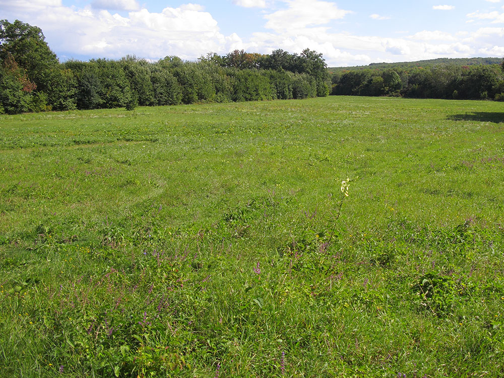 Окрестности Нижнебаканской, image of landscape/habitat.
