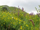 Image of landscape