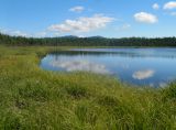 Озеро Таёжное, image of landscape/habitat.