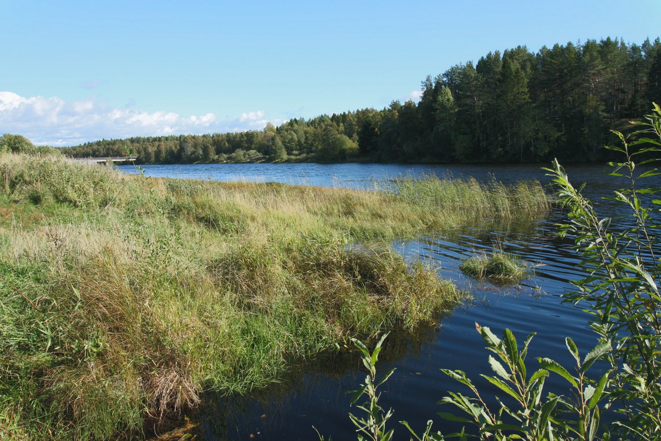 Устье Тулоксы, image of landscape/habitat.