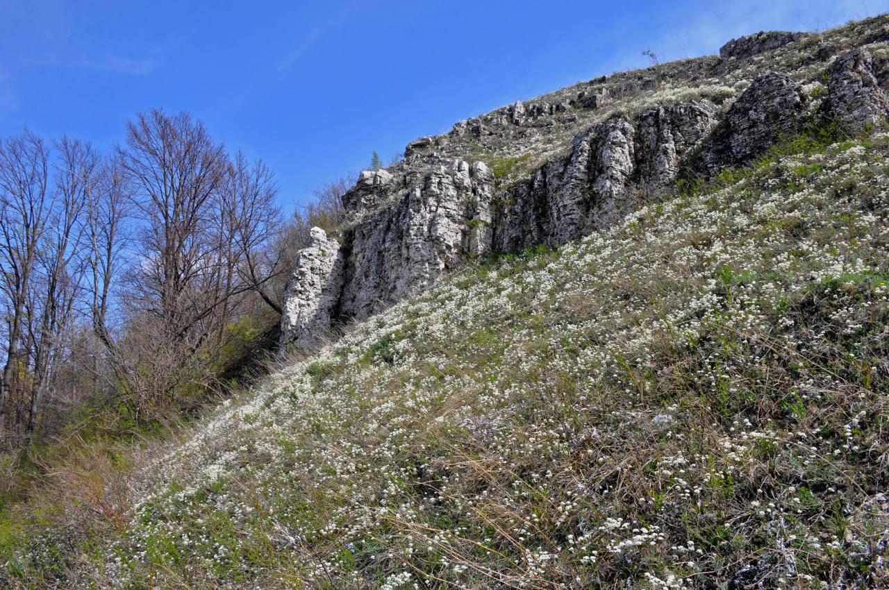 Гора Лысая, image of landscape/habitat.