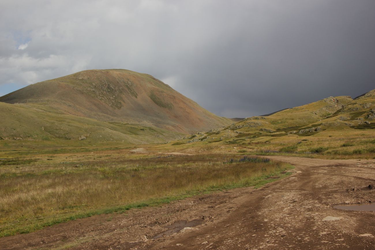 Окрестности истока реки Усай, image of landscape/habitat.