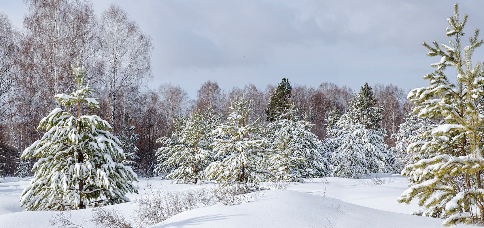 Окрестности Уразово, image of landscape/habitat.