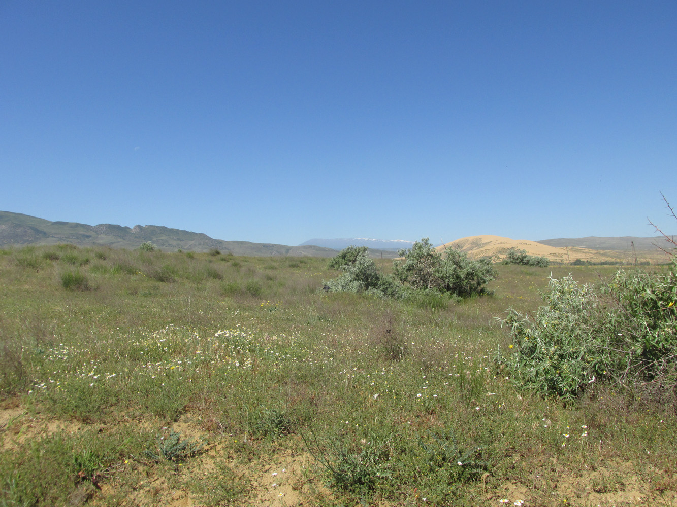 Окрестности села Коркмаскала, image of landscape/habitat.