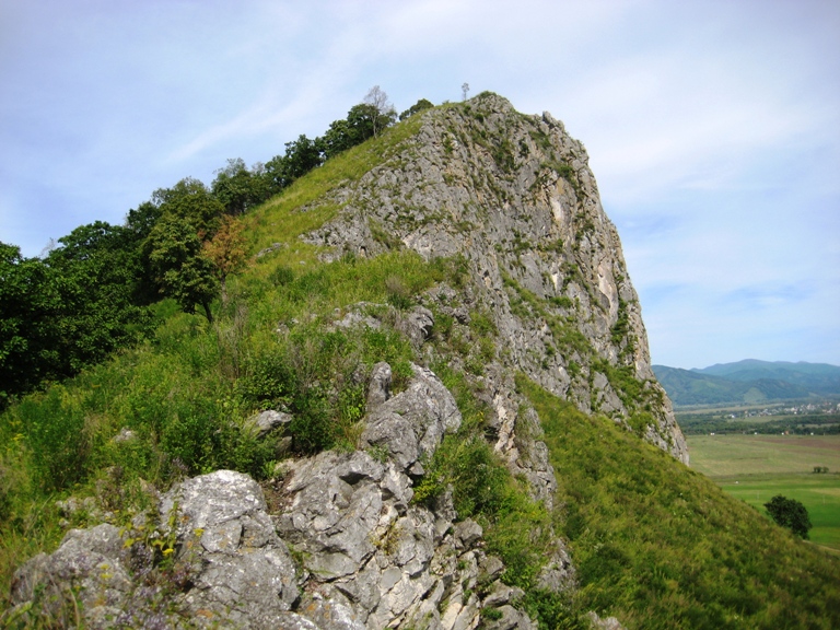 Екатериновка, image of landscape/habitat.