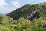 Image of landscape