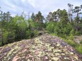 Image of landscape