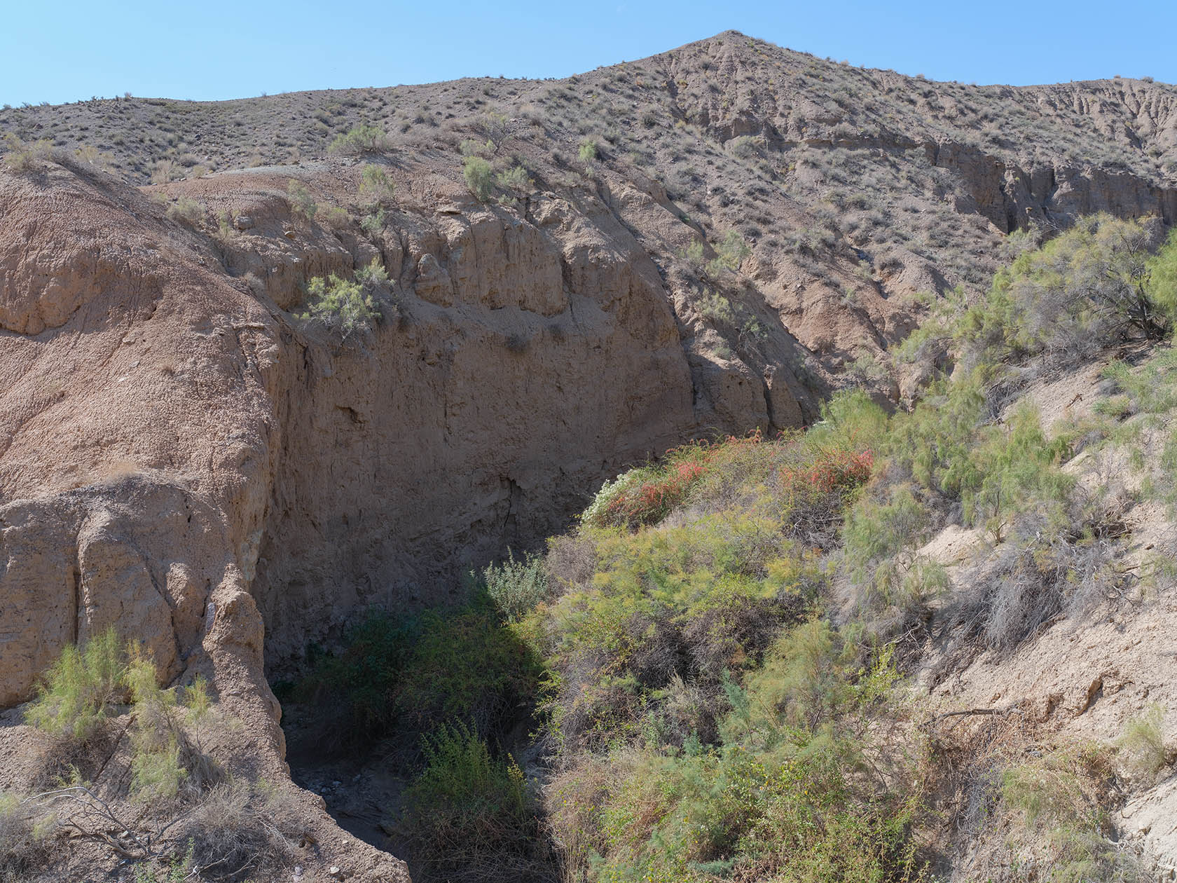 Горы Сырт, image of landscape/habitat.