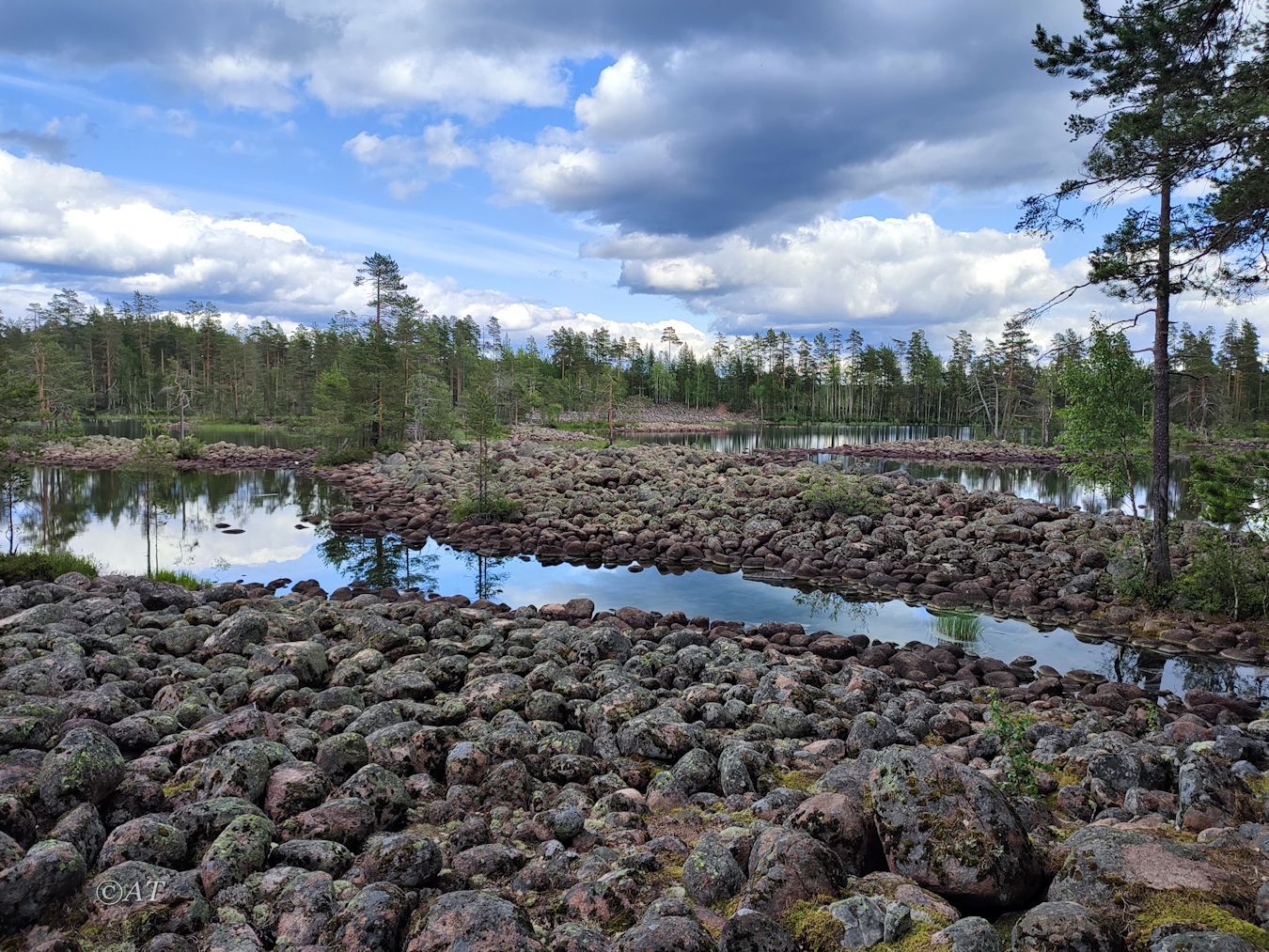 Озера Лоухенпяянламмет, image of landscape/habitat.