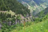 Image of landscape
