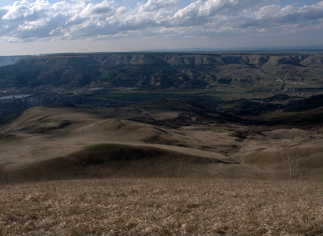 Боргустанский хребет, image of landscape/habitat.