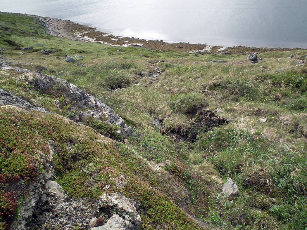 Дальние Зеленцы, image of landscape/habitat.