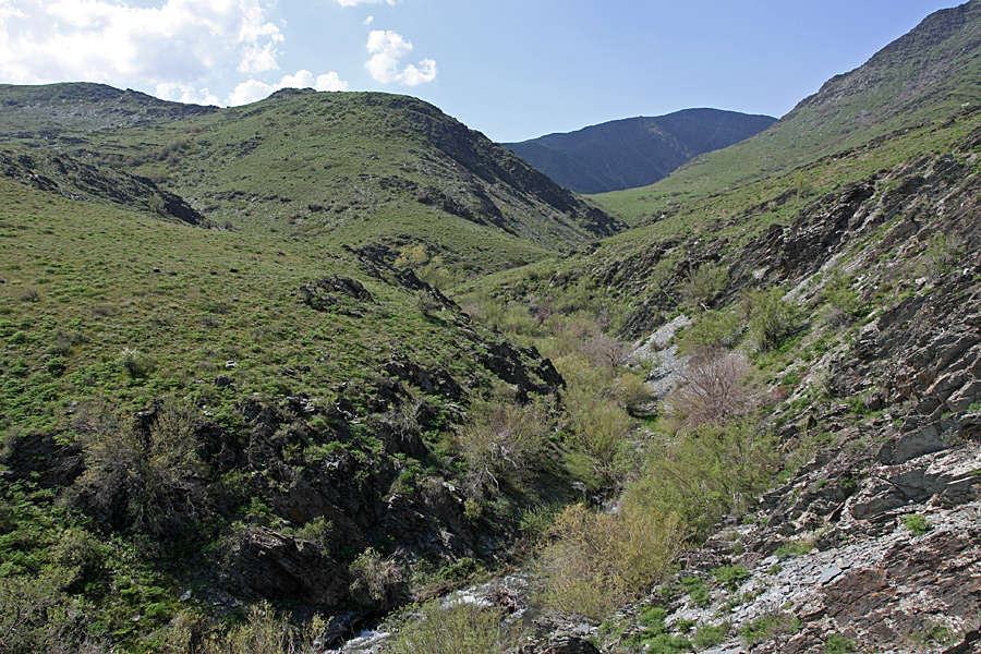 Ущелье Еликсай, image of landscape/habitat.