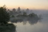 Большое Каринское Болото, image of landscape/habitat.