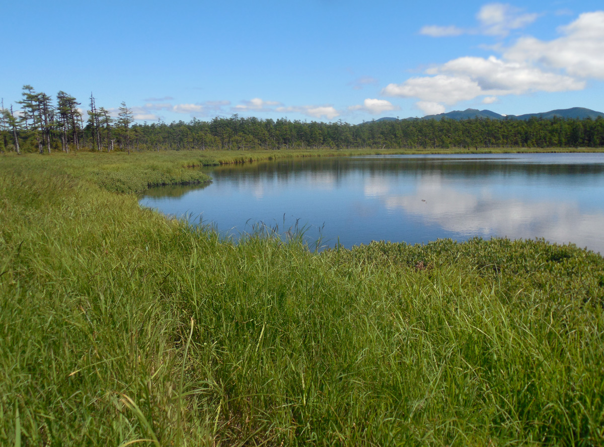 Озеро Таёжное, image of landscape/habitat.